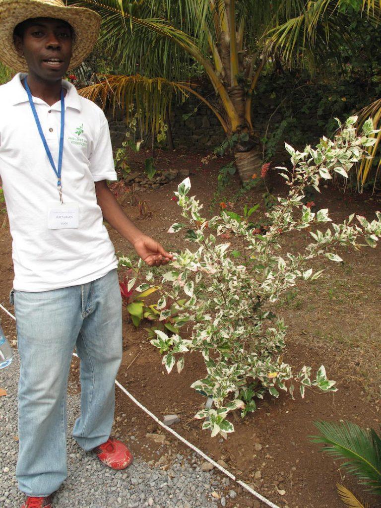 Rodrigues: Sinnliche Stunden im Botanischen Garten 22