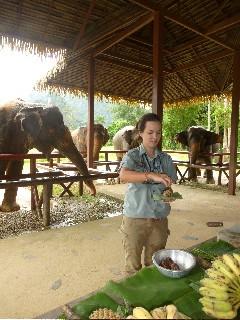 Elephant Hills Thailand Anke Sieker