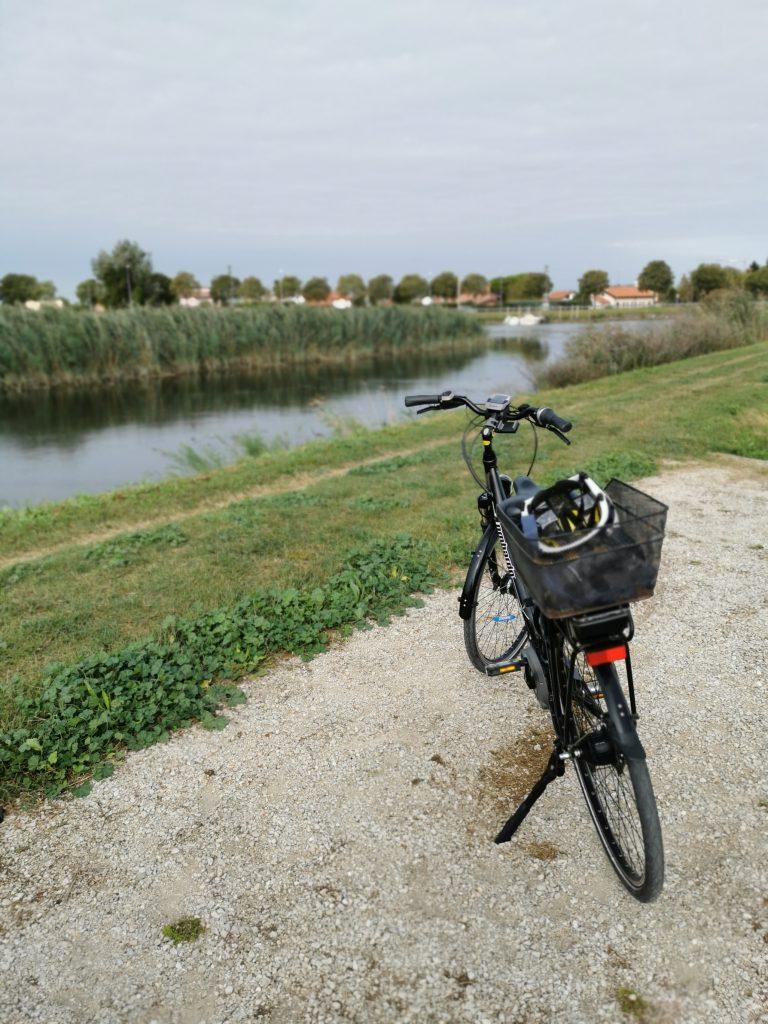 Vergesst Venedig Rozsika Farkas