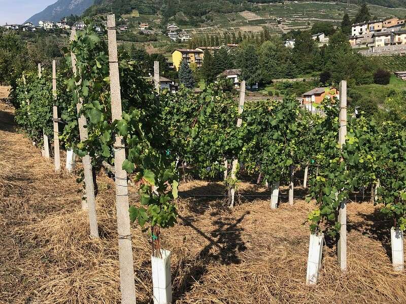 Valtellina Livigno Sondrio